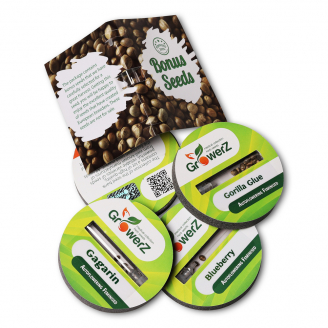 Семена конопли сорта Cream Caramel Auto Fem.