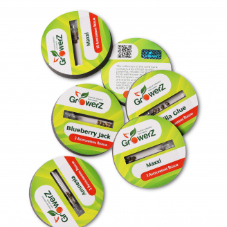 Семена конопли сорта Critical Jack Auto Reg.